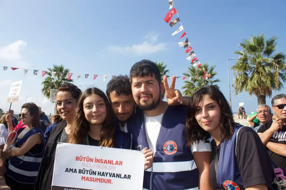 Alfa Derneği tarafından tedavi edilen bir hayvan