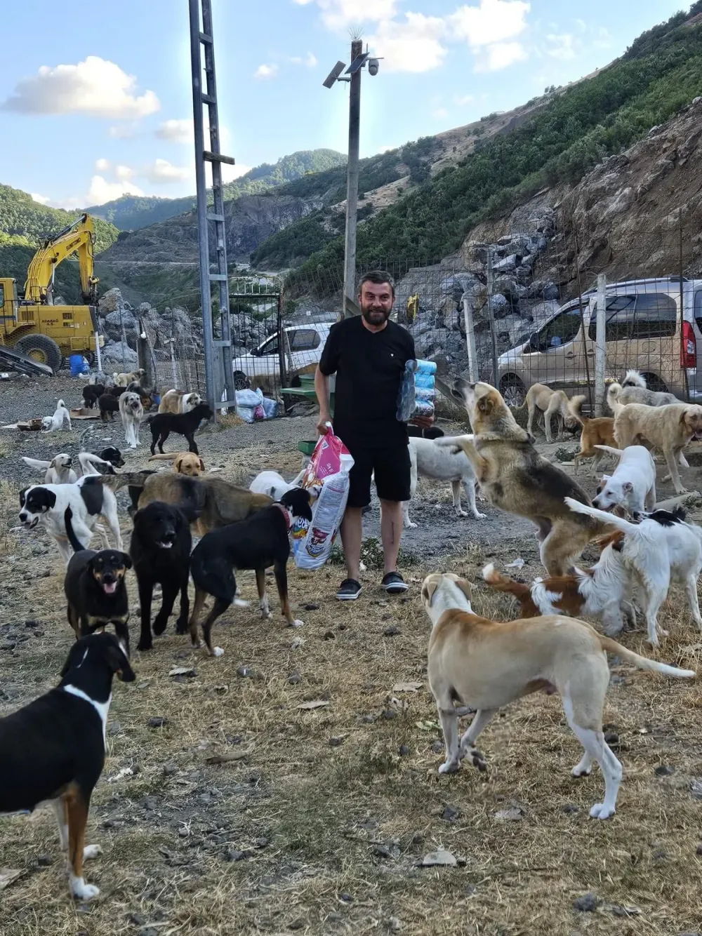 Alfa Derneği koruması altındaki bir can