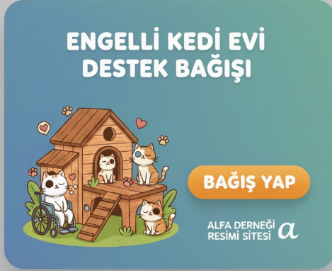 Engelli Kedi Evi Destek Bağışı