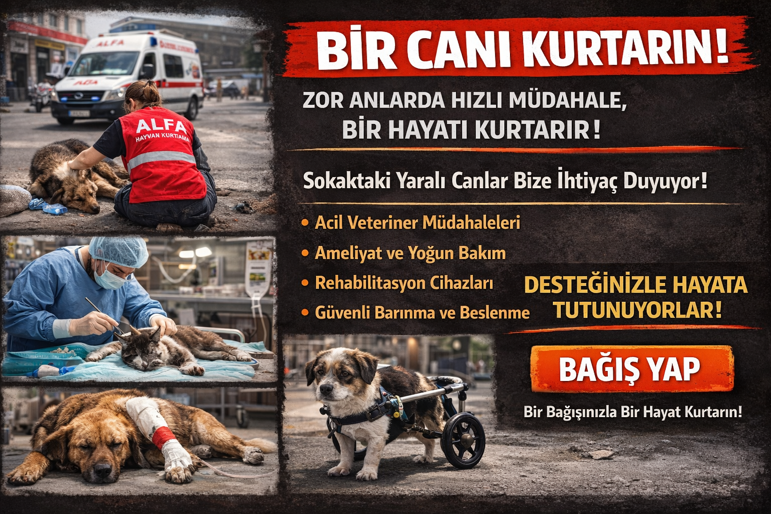 Acil Durumda Bir Umut: Yaralı Canlara Acil Tedavi Desteği